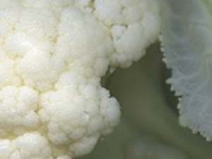 ��Щ�߲˾����̲��Ĺ�Ч��