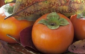 ���Ӻͺ�������ͬʳ