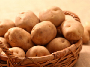 ĳЩ�Ϲ����ʺϳ�Ƥ