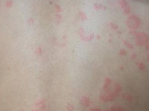 ������ҩ������ݡ����