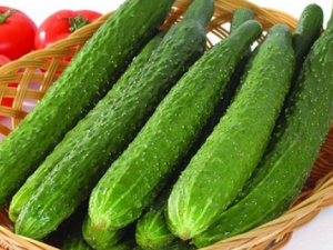 �����ʺϴ����Ŷ�������ʳ��