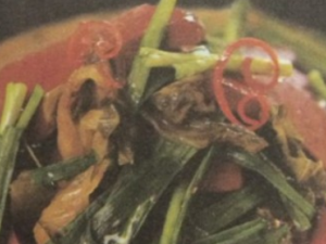 ɳ��²���ѼѪ������