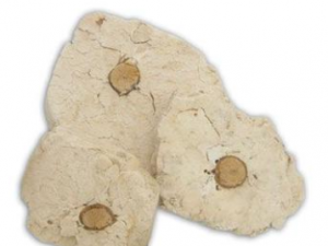 �����ߵĹ�Ч������