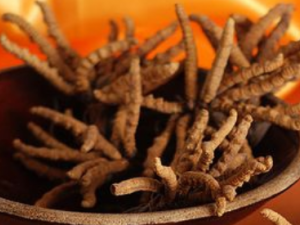 �����Ĳ���ô��