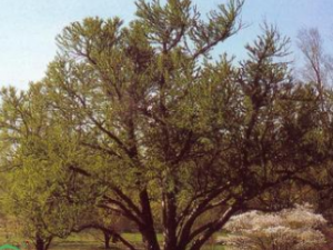 �����ܶ�������̽��