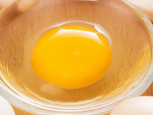 ������ʲôӪ����