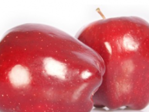 ��Щˮ�����ԶԿ�������