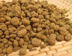 Ԫ��ֹʹ�������