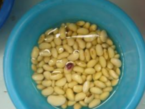 �ƶ���������ե����Ӫ�����ḻ