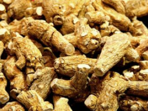 ��������������ᰩ֢ƣ��