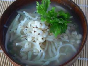 ŧ����������������