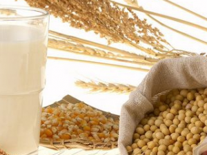 ��Щ�˲��˳Դ���