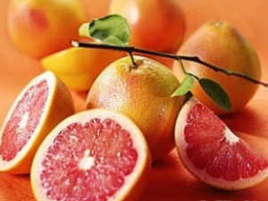 ����ʮ����в�ˮ��Чʳ��