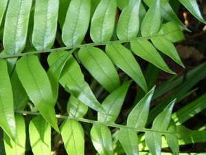 ��������ާ�Ĺ�Ч������