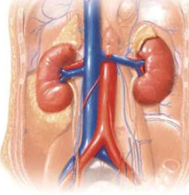 ��Щҩ���˼�����