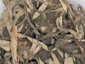 ����ʹ����ʳ�Ʒ���