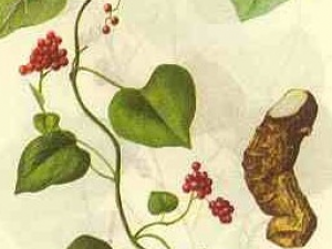 ���ѵĹ�Ч������