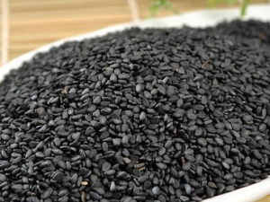 �����������Ȧ�����ʳ��