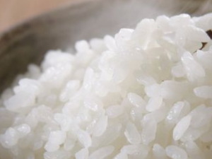 ���׷���Ӫ��ѧ��