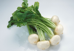 ���ܲ�ʳ�Ʒ�