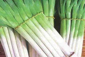 ��ҩ��ʳ�Ʒ�