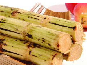 �������ʳ��Ԥ���ڸ�