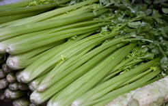 �۲�ʳ��ҩ�ŷ�