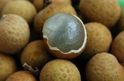 ����ʳ�Ʒ�