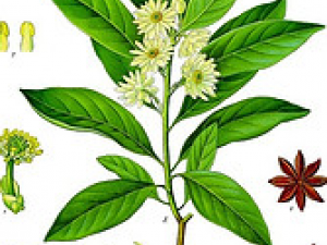 �˽��ֳư˽�����