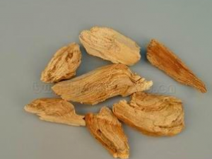 �ɿƳ��̴���ľ����