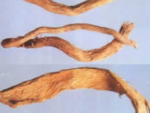 �������ݱ�ֲ��ǧ�꽡