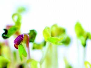 ����ѿ��������Щ�ж�����