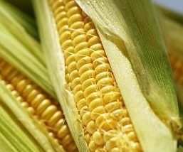 ��������ʳ��Ӫ����ֵ���