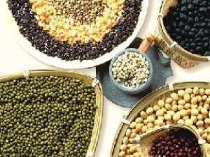 ���������Ĺ�Ч������