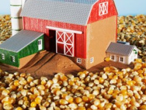 С�������ʳӪ��