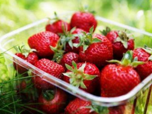 �����ϻ��ʲô��