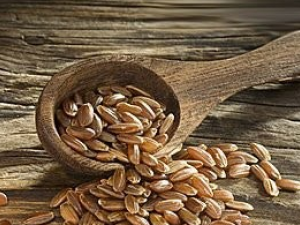 ȫ���������ô�