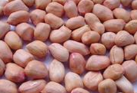 ��䳣�û���ʳ�Ʒ�