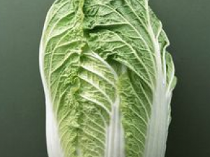 �ײ˵������ؾ���֪������