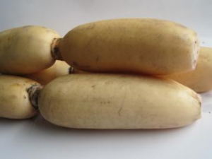 źҲ�����������յĹ�Ч