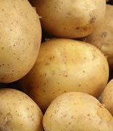 ��������Ȼ�����ݼ�Ʒ