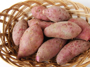 ������������ЩӪ����ֵ