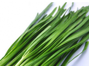 ��Щʳ�������׳����