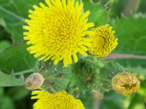 ���˵Ĺ�Ч������