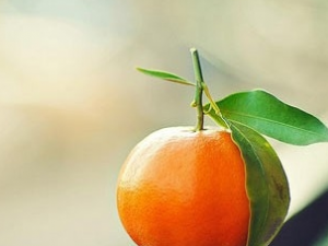 ���ӳԶ����ϻ���ô��