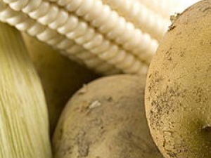 �и�ʳ��������������̥������