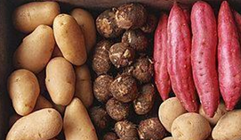 ����������Ը�Ӫ��