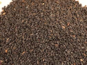 ֬���ֲ���֥��