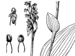 �����������Ĺ�Ч������