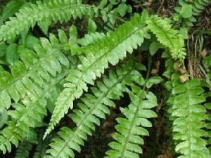 �ҹ��ڵĹ�Ч������